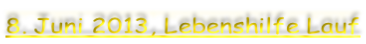 8. Juni 2013, Lebenshilfe Lauf